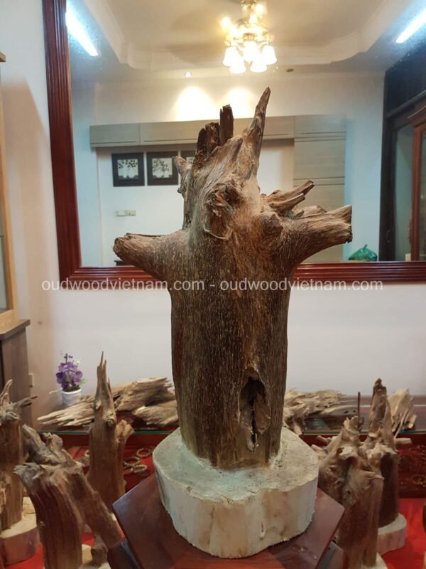 Agarwood Handy Sculpture Art Colletion Fengshui 6