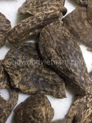 Khanh Hoa Agarwood Chips Oud Chips | Chop Mu A | Grade A++ | 50 grams