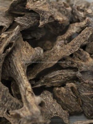 Nha Trang Agarwood Chips Oud Chips | Kien Rung | Grade A | 50 grams