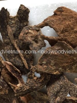 Quang Nam Sink Agarwood Chips Oud Chips | Grade A++ | 10 grams